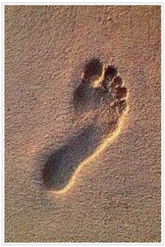 Footprint Picture